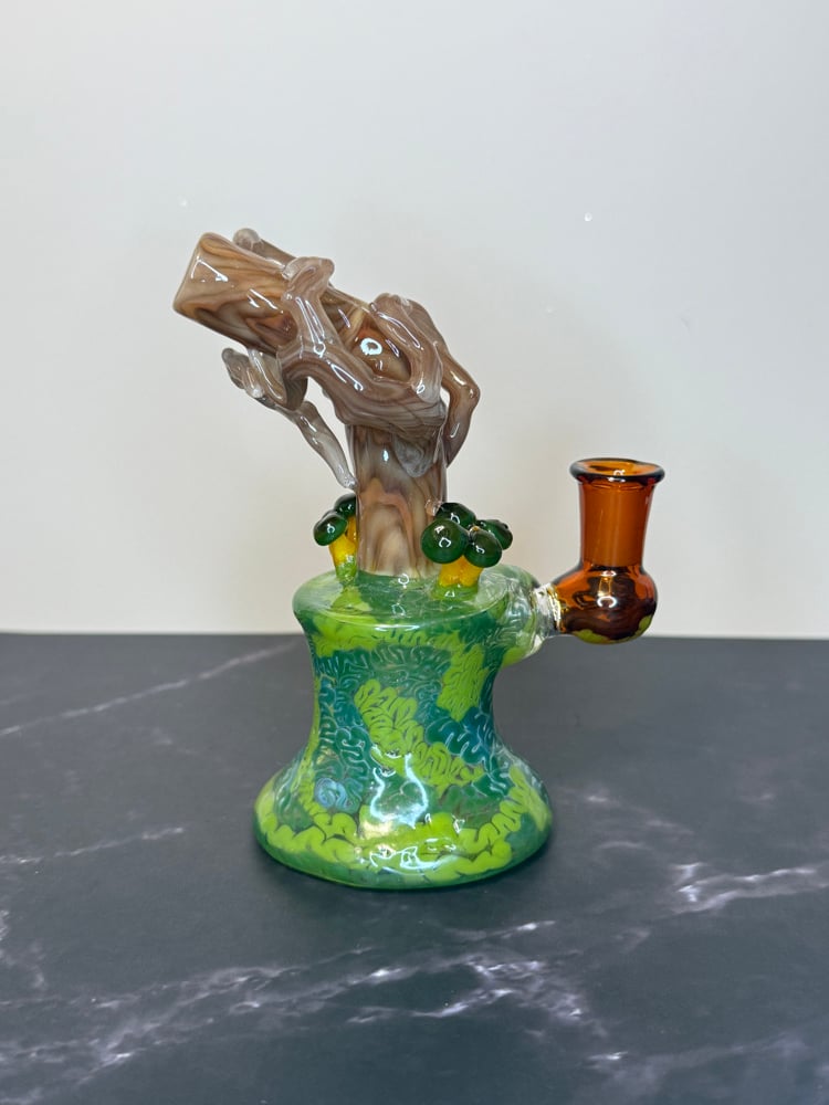 Image of Green Headed Jelly Jammer 