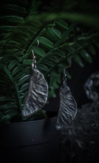 Image 3 of Real maple seed earrings