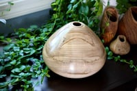 Image 2 of Ambrosia Maple Hollow Form