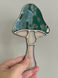 Image 1 of Mushrooms