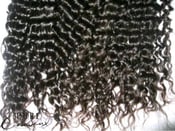 Image of Brazilian Curly Hair