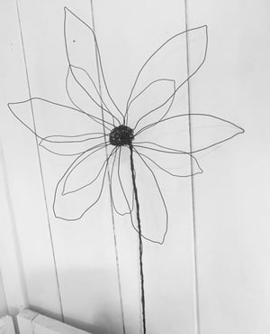 Image of Wire Workshops 2026 