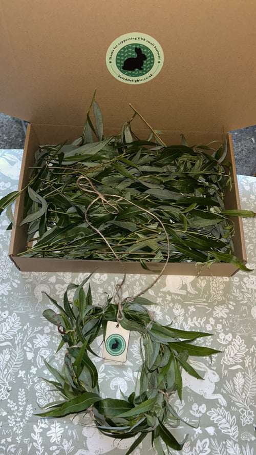 Image of ⭐️SPECIAL OFFER⭐️ Box of fresh willow and small willow wreath copy