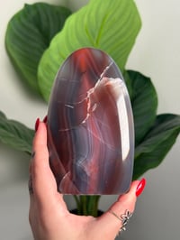 Image 2 of MOZAMBIQUE AGATE FREEFORM #16