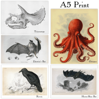 A5 PRINT ON PREIMIUM THICK CARD
