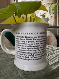 Image 4 of Neon Philodendron in Black Lab Mug 