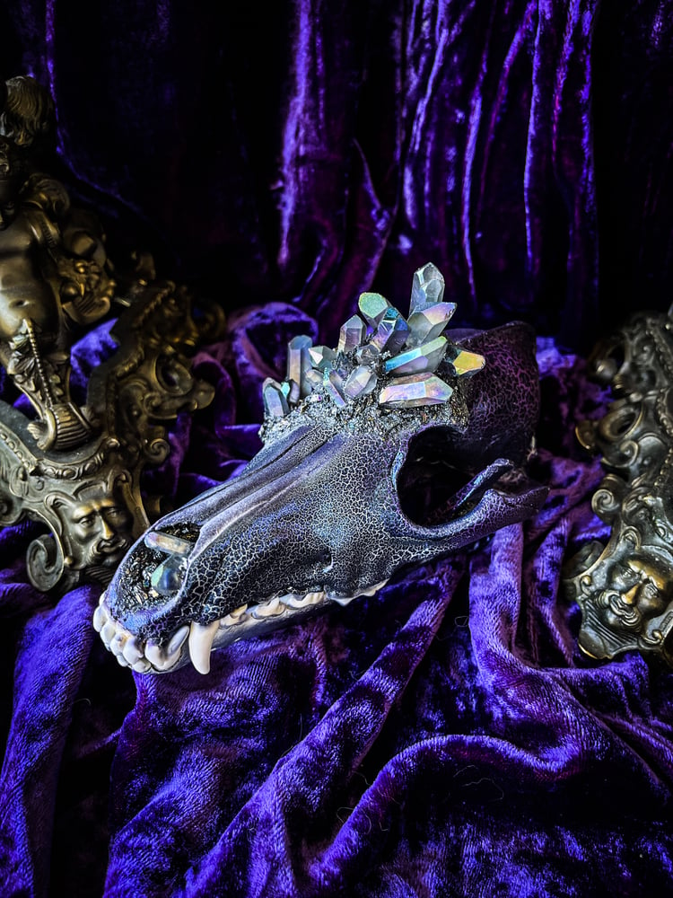 Image of Grey Rainbow Aura Quartz & Carborundum- Coyote Skull