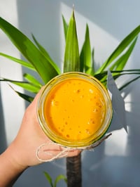 Image 5 of Turmeric & Ginger Infused Seamoss