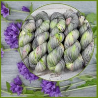 Image 1 of Spring Spin on WA&WC