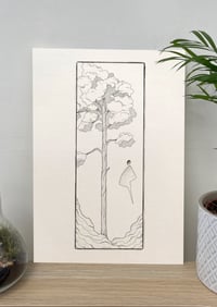 Image 2 of Old oak terrarium 