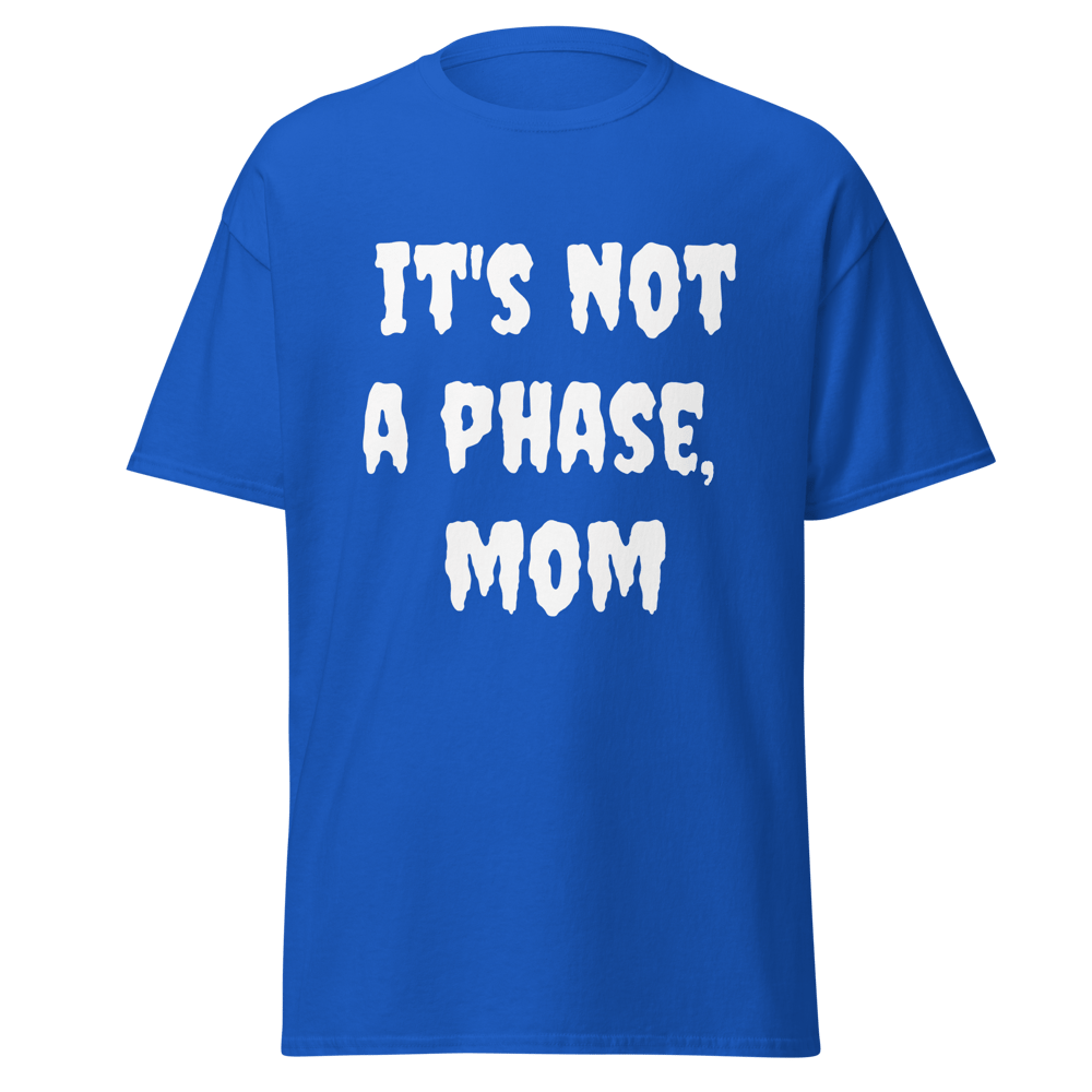 It's Not A Phase Mom | The Warped Tour Band