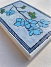 Forget-me-not 