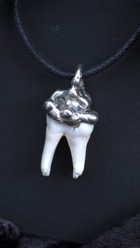 Image 1 of Boar tooth necklace 