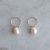 Gold Filled Hoop with Pearl Earrings 