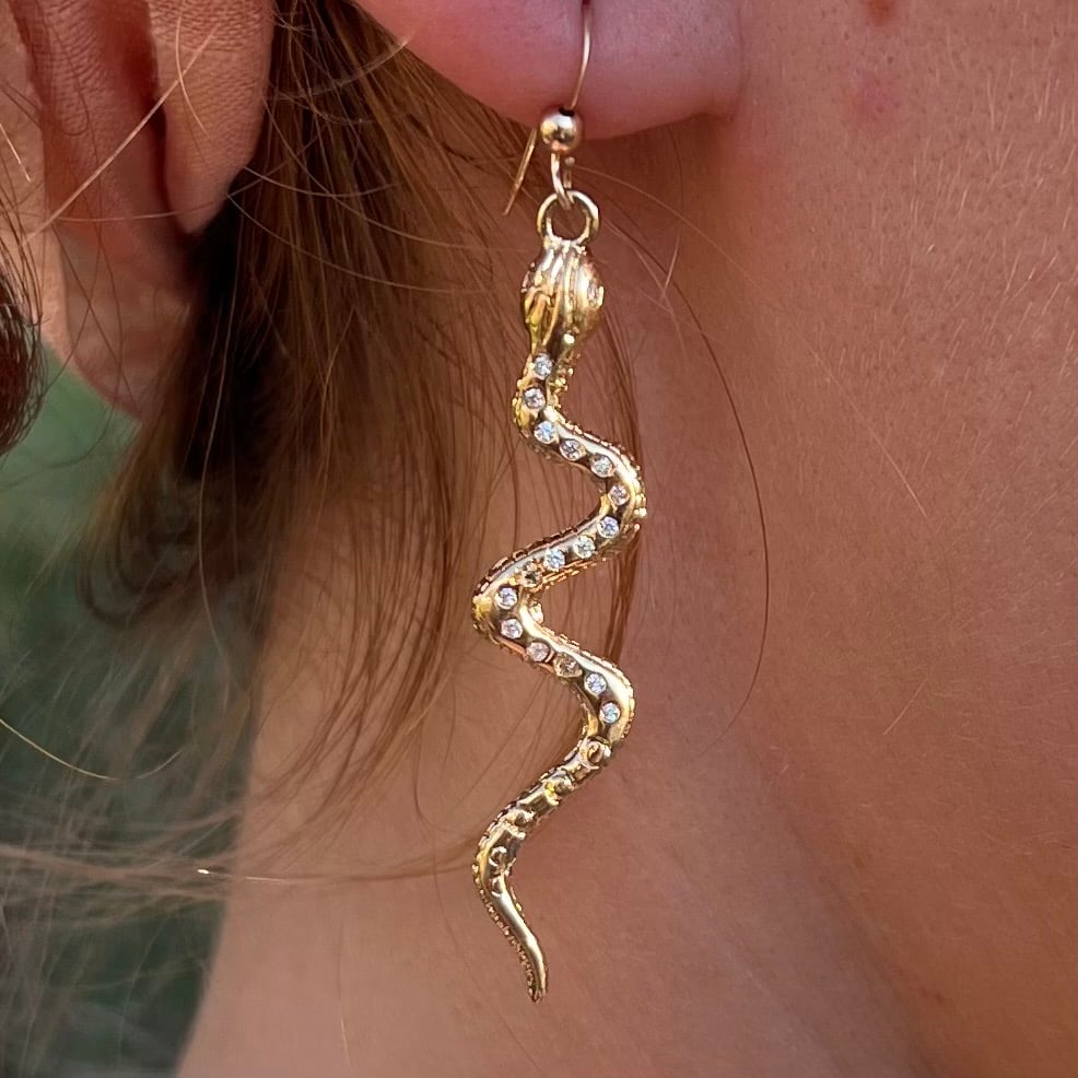 Image of Coral  Snake Earring