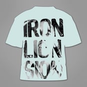 Image of lion iron sion 