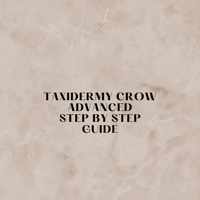 Taxidermy Crow - Advanced Guide