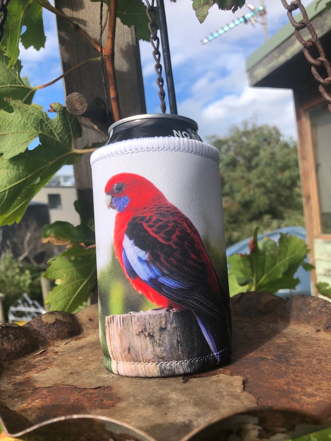 Bird Calendar + 1 Bird Stubby Holder Geraldine Hickey