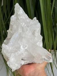 Image 16 of Clear Quartz Crystal Points Cluster #346