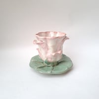 Image 1 of Water lily