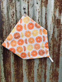 Orange Slices Neck Scarve