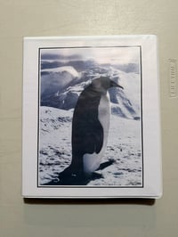 Image 6 of Hospital Productions Rarities & Special Editions Part One