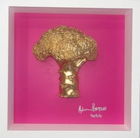Marilyn Broccoli 