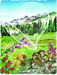 Image 4 of Toby’s Adventure on Mount Shasta