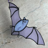 Image 3 of Lavender Flying Bat