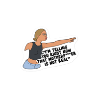 Plane Lady Conspiracy Waterproof Vinyl Decal