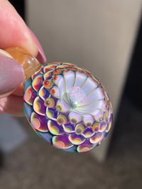 Image 6 of Royal Hyacinth