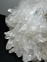 Image 11 of Clear Quartz Points Cluster Statement Piece | Brazil #2936