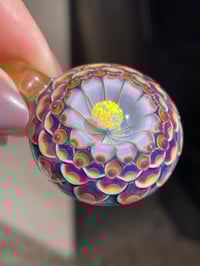 Image 5 of Royal Hyacinth