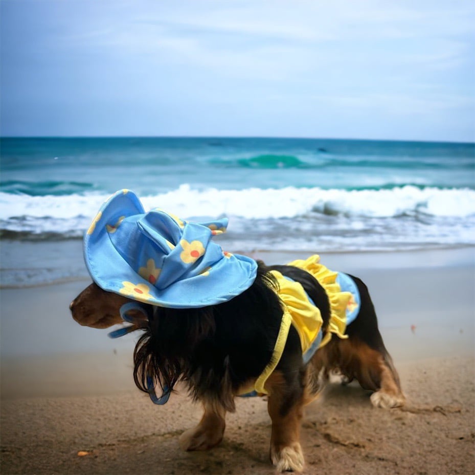 Image of Flower Pet Bikini 