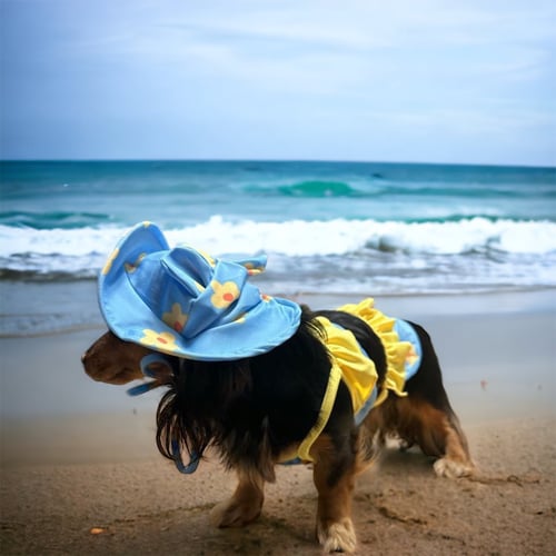 Image of Flower Pet Bikini 