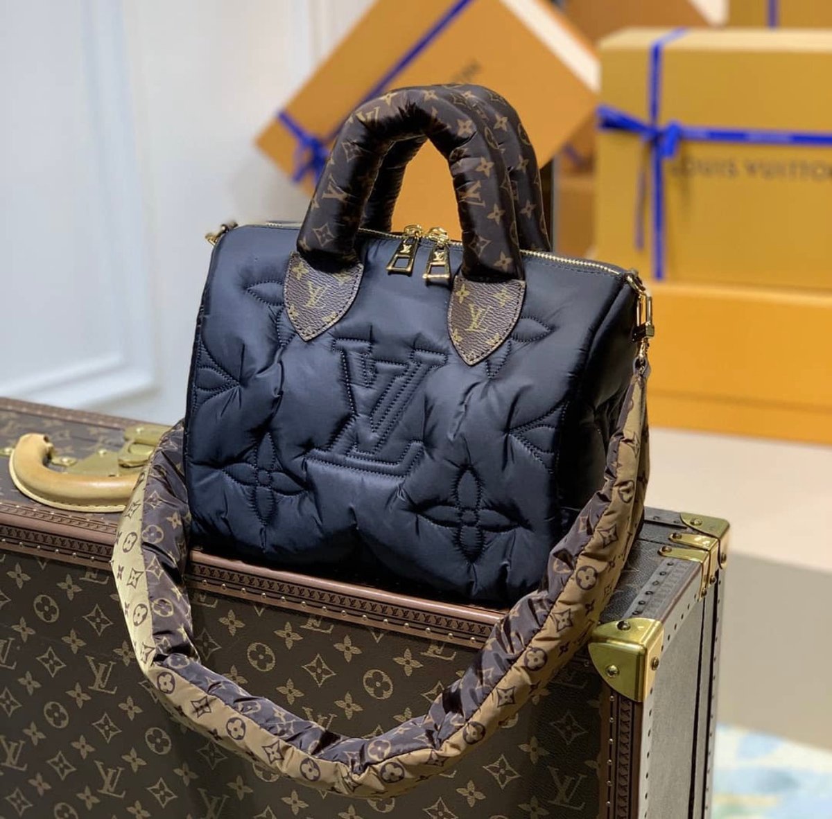 Louis Vuitton fur bag Bag on fleek 😍 - Damz collections
