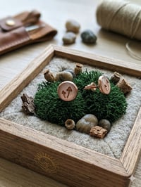 Image 1 of Mushrooms 