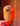 McNugget Puppet Cute