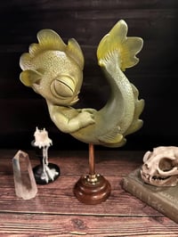 Image 1 of NAIA Preserved Specimen