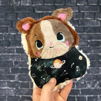 Image 2 of PEANUT- Pickles