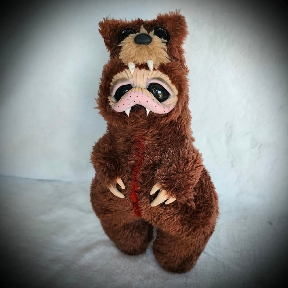 Image of Christian in Bear