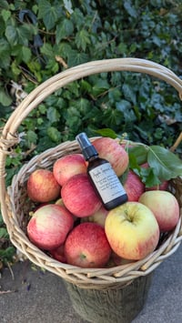 Image 2 of Apple Spice Toner