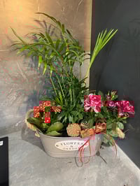 Image 6 of Christmas planter 