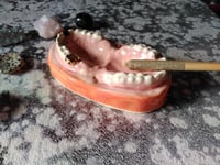 Image 5 of Teeth Dish