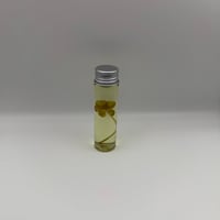 6-Leaf Clover (Trifolium repens) Wet Specimen | 20ml Vial
