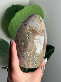 Image 3 of SEA JASPER FREEFORM -MADAGASCAR- F