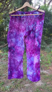 Image 4 of Purple Mums