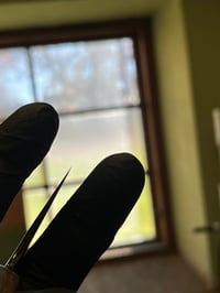 Image 5 of #9 Mono Gyuto