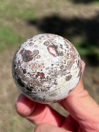 Image 4 of Money Agate Sphere #2834