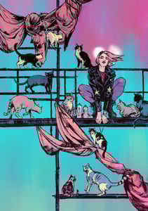 Image of No Safety in Numbers